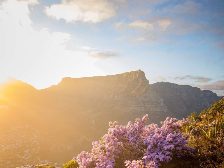 What to pack for a day-hike on Table Mountain